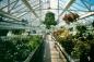 Serre / Greenhouse