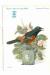 Carte publicitaire - recto: orchard oriole