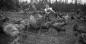 Famille Larouche, Cultivateurs, Val-Senneville