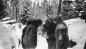 James-Paul Norrie, Industriel minier, Malartic