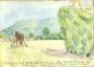 L'histoire de Ruth - Quatrime livre - Image 9 - Conduisant le cheval durant le temps des foins... 