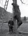 Le chasseur Edmond Dubuc et sa gigantesque prise; un orignal de plus de 500 lbs