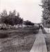 Les trottoirs de bois