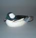 Canard d�coratif (petit garrot m�le) r�alis� par Marcel Dufour (1939-  ) de Saint-Eustache