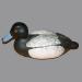 Appelant de chasse (morillon m�le) r�alis� par Marcel Dufour (1939-  ) de Saint-Eustache