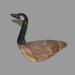 Appelant de chasse am�rindien (bernache canadienne) r�alis� par un artisan inconnu