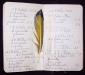Extrait du carnet de chasse d'Albert Cartier