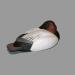 Morillon � dos blanc m�le endormi r�alis� par Jim Laffoley (1935-  ) de Brossard