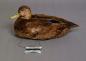 Appelant de chasse recouvert de plumes v�ritables r�alis� par Aldoma Schryer (1910-1994) de Aylmer
