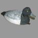 Appelant de chasse (morillon m�le) r�alis� par �mile Pilon (1885-1968) de Sainte-Anne-de-Bellevue