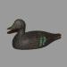 Appelant de chasse (sarcelle � ailes vertes femelle ) r�alis� par Alcide et Ernest Brunet