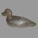 Appelant de chasse (morillon) r�alis� par �lie Gendron (1883-1953) de Salaberry-de-Valleyfield