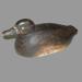 Appelant de chasse (morillon femelle) r�alis� par Charles Fournier de Saint-Anicet