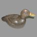 Appelant de chasse (canard noir) r�alis� par Alcide Leduc (1903-1984) de Salaberry-de-Valleyfield