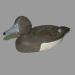 Appelant de chasse (morillon femelle) r�alis� par Jacques-Andr� Amyot (1925-  ) de Ville de L�ry