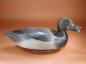 Appelant de chasse (morillon) r�alis� par Alain de Lotbini�re MacDonald (1886-1961) de Rigaud