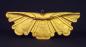 Applique d�corative XVIIIe si�cle Bois dor� 27 cm X 66,5 cm X 4 cm