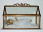 Ch�sse avec Enfant J�sus XIXe si�cle Bois dor�, verre 41 cm X 12,5 cm X 12,5 cm