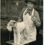 Le concours international pour les chiens de toutes races vers 1950