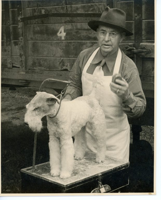 Photo en noir et blanc d un homme debout derrière un terrier blanc à poils courts en laisse sur une estrade.  L’homme a une brosse à la main gauche et porte  chapeau, chemise et cravate recouvertes d’un tablier blanc ; structure en bois derrière, numéro 4 inscrit sur une planche horizontale.