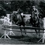 Saut d’obstacle dans le parc municipal