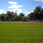 Le terrain de baseball