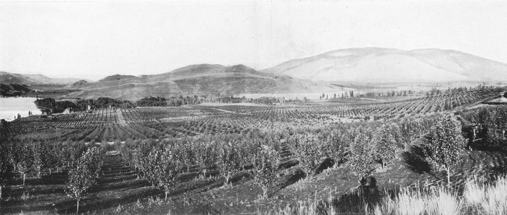 Photo en noir et blanc représentant un grand verger, une vue du lac et des collines au loin.