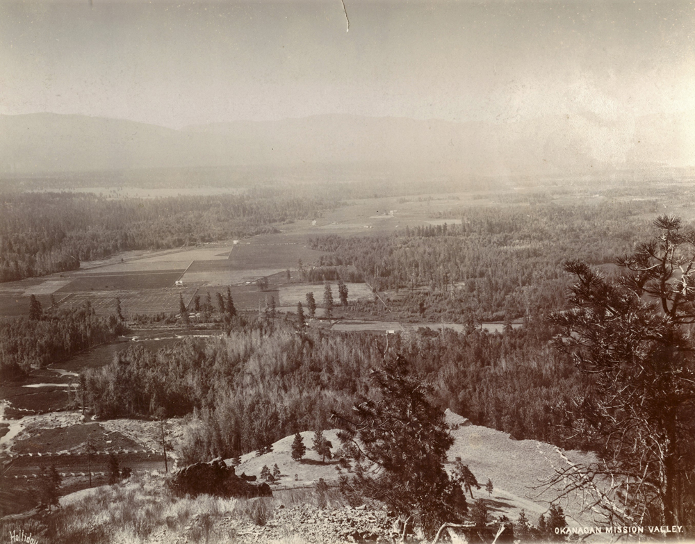 Photo en noir et blanc prise depuis le haut d’une colline montrant un large panorama de la vallée avec ses champs et ses espaces boisés.