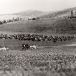 Voyage en chariot, dans les années 1890