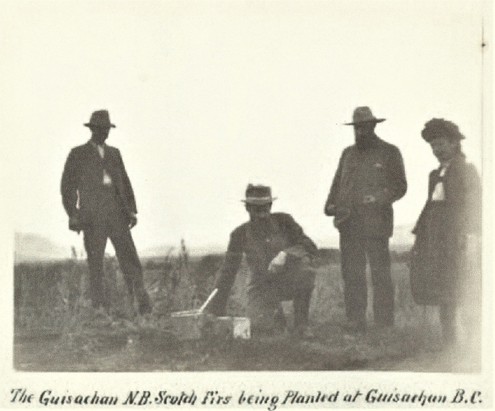 Photo en noir et blanc de trois hommes et une femme dans un champ. Le deuxième homme à partir de la gauche est en train de planter des sapins, un genou à terre.