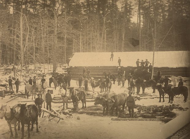 Photographie sépia d’une scène extérieure hivernale dans un camp de bûcherons. On aperçoit un long bâtiment sans fenêtres. Les murs sont construits avec des troncs d’arbres superposés à l’horizontale. Le toit est couvert de neige. Devant le bâtiment, une trentaine d’hommes, une dizaine de chevaux et un attelage de deux bœufs. En arrière-plan, la forêt.