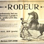 Rodeur