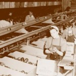Les Belles des pommes dans les années 1940