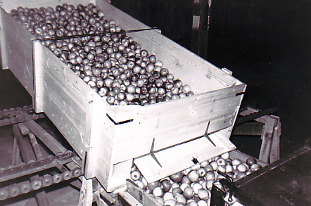 Photo en noir et blanc d’une grande benne de bois remplie de pommes et inclinée vers l’avant. Des pommes s’en échappent à travers une trappe à charnières située au bas de la benne.