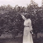 Dorothea Allison en 1912
