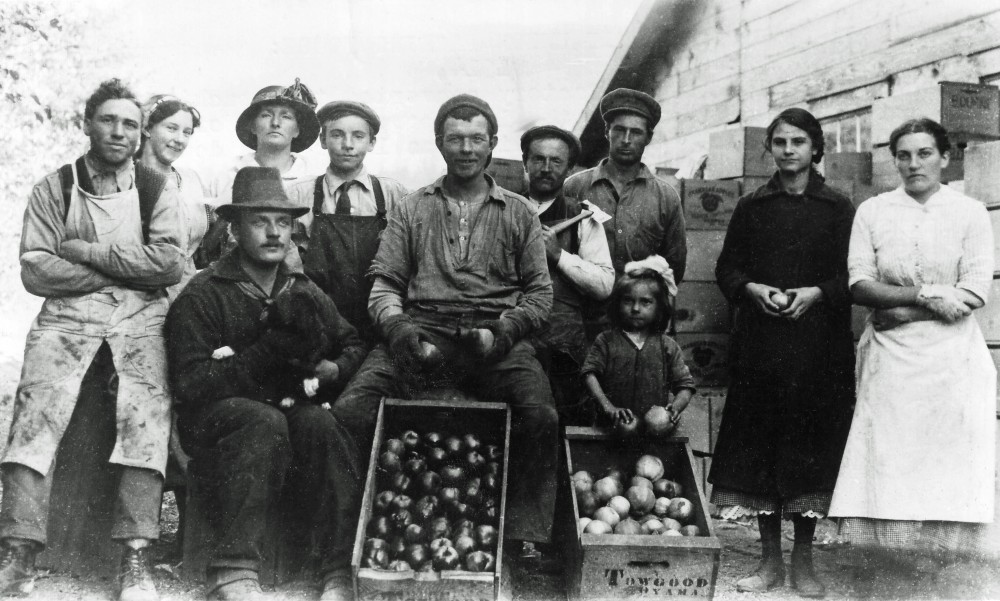 Photo en noir et blanc représentant six hommes, quatre femmes et une fillette à l’extérieur. Derrière eux se dresse un édifice en bois. Deux caisses de bois remplies de pommes se trouvent au premier plan; une des caisses est estampillée : « Towgood, Oayama ».