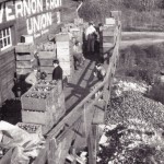 La Vernon Fruit Union d’Oyama en 1940