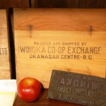 Côté imprimé d’une caisse et timbre de la Winoka Cooperative Exchange