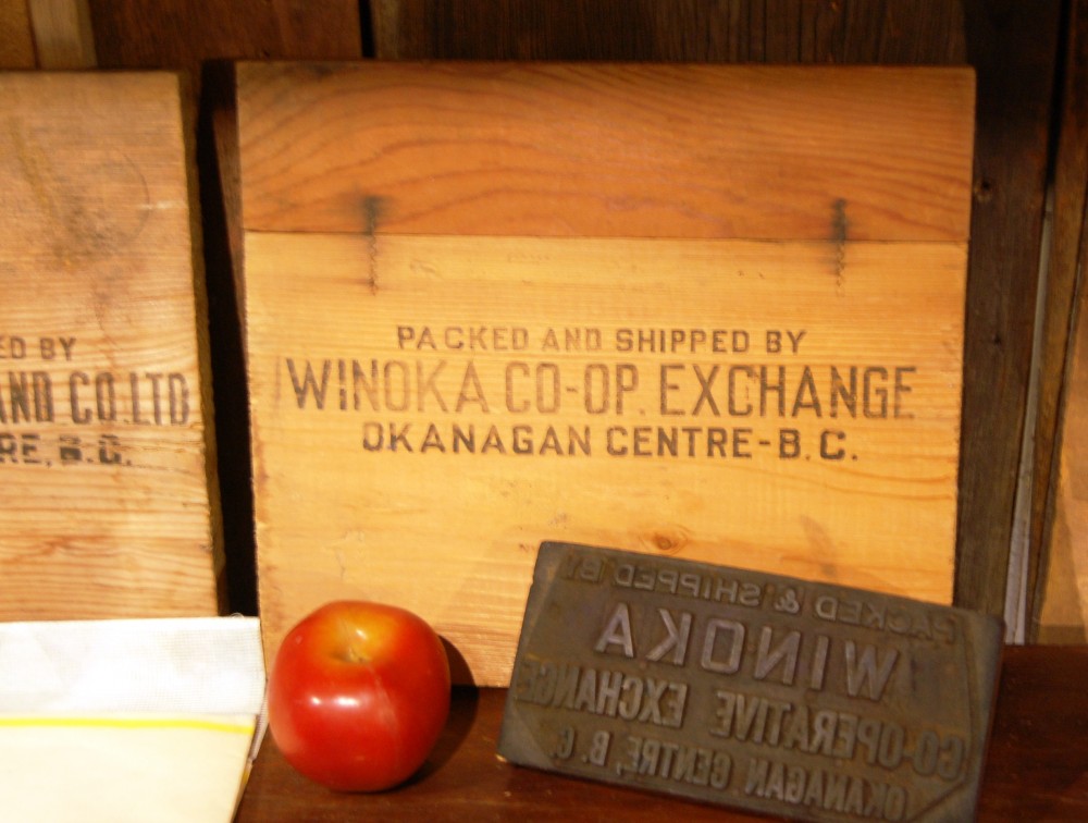 Photo en couleur représentant le flanc d’une caisse de pommes estampillée : « Winoka Co-op Exchange, Okanagan Centre, BC. ». Au premier plan, le tampon et une pomme.