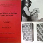 Méthodes modernes d’emballage des pommes et des poires, 1913