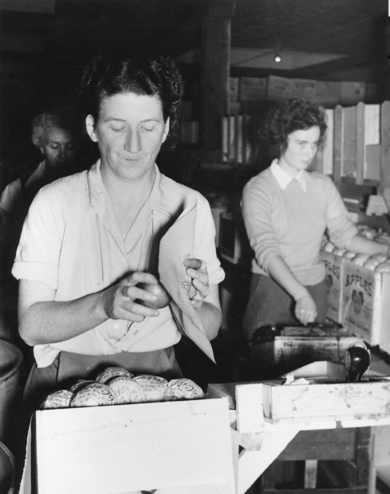 Photo en noir et blanc de trois femmes à l’intérieur d’une station fruitière. La femme qui est au premier plan est en train d’envelopper une pomme dans du papier de soie.