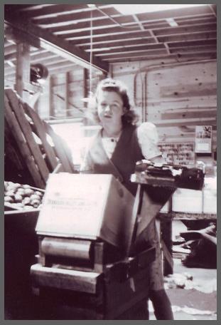 Photo en noir et blanc d’une jeune femme debout derrière une caisse de bois inclinée. Elle est à l’intérieur d’un édifice avec une benne de pommes à sa droite.