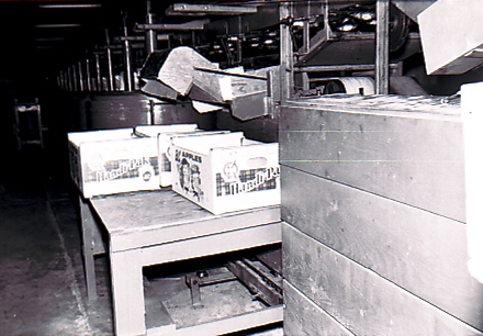 Photo en noir et blanc de plusieurs boîtes en carton posées sur une table à l’intérieur d’un édifice.