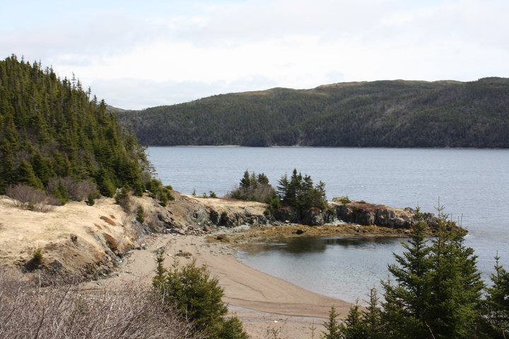 Plage à Parker’s Cove