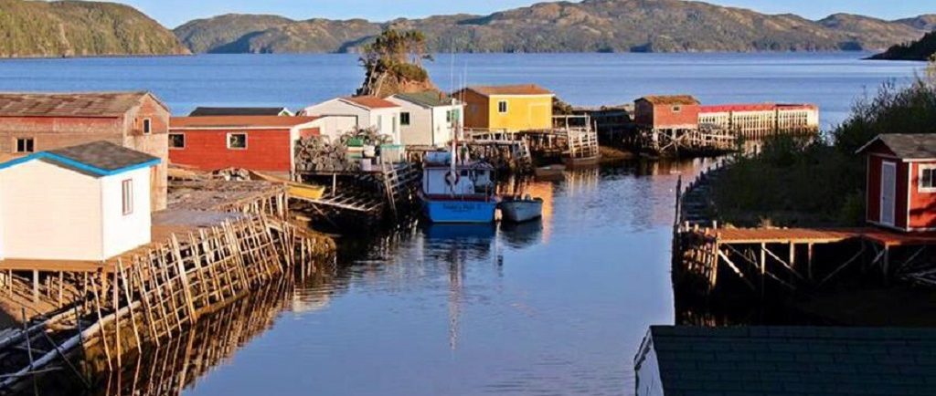 Des remise vifs fair le queue sur un quai dans une baie rocheuse