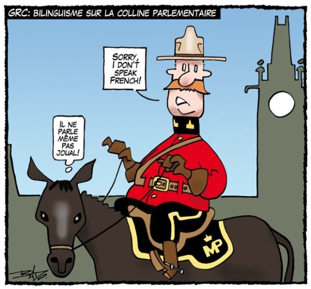 Titre : GRC : Bilinguisme sur la Colline parlementaire Illustration : Un officier de la Gendarmerie royale du Canada sur son cheval patrouille sur la colline du Parlement. L’officier dit : Sorry, I don’t speak French, tandis que le cheval pense : Il ne parle même pas joual!