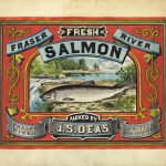 Fresh Salmon, Fraser River, Packed by J.S. (Saumon frais, fleuve Fraser, emballé par J.S. Deas)