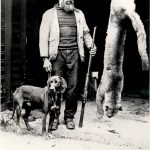 Willis Stark et le couguar (1900)