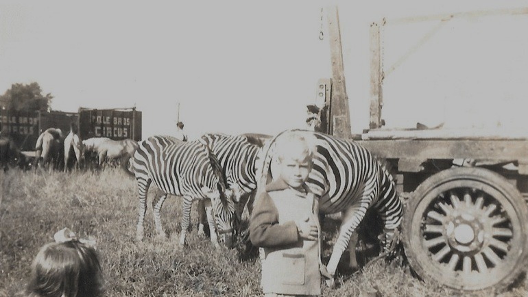 Une photo en noir et blanc d’un petit garçon et d’une petite fille devant un groupe de zèbres; en arrière-plan se trouve un véhicule de transport arborant le logo du cirque Cole Bros