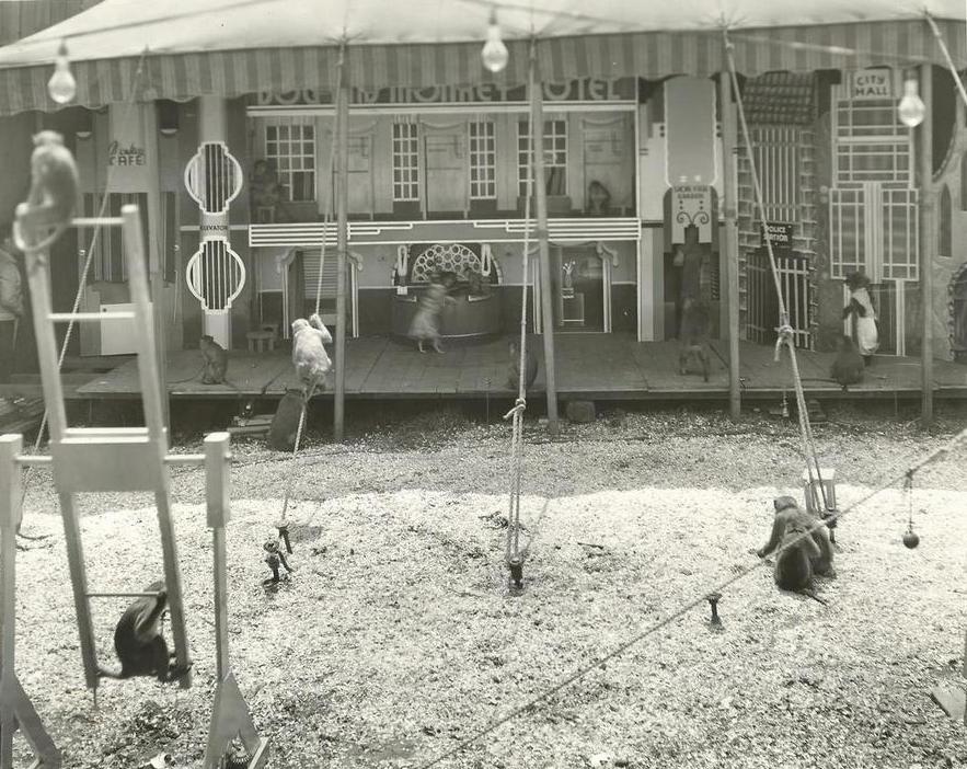 Une photo en noir et blanc d’un spectacle secondaire présentant de petits singes et des chiens; il y a une tente avec des lumières et le décor de la scène consiste d’un café et d’un centre commercial, de plus quelques singes portent des vêtements